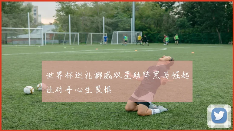 世界杯巡礼挪威双星助阵黑马崛起让对手心生畏惧